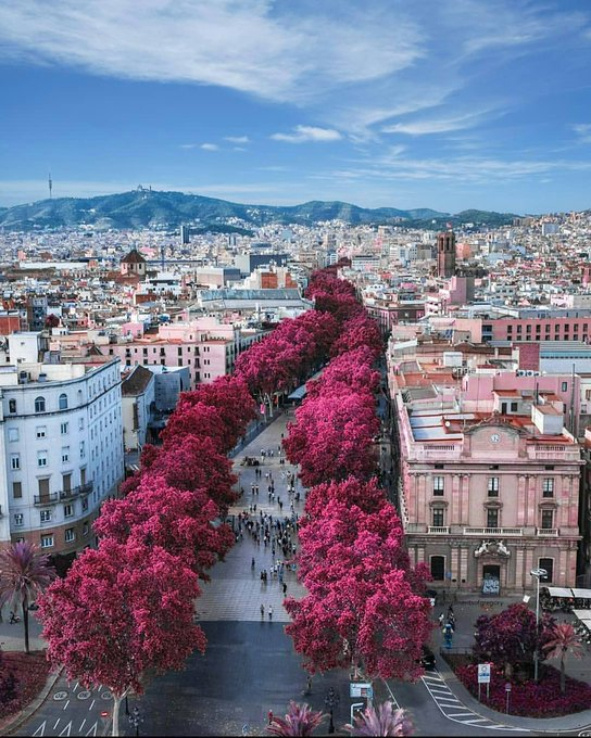 La Rambla, Barcelona
