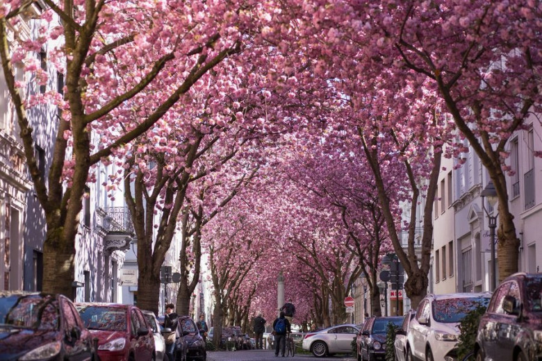 Bonn, Saksamaa