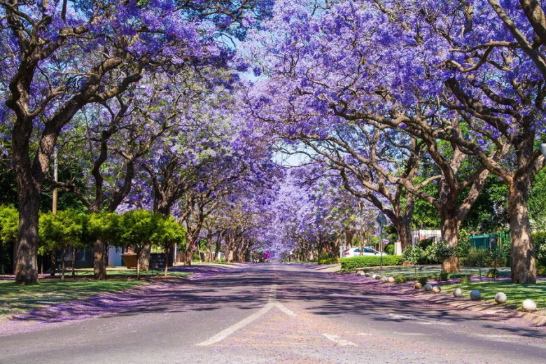 Pretoria, Lõuna-Aafrika