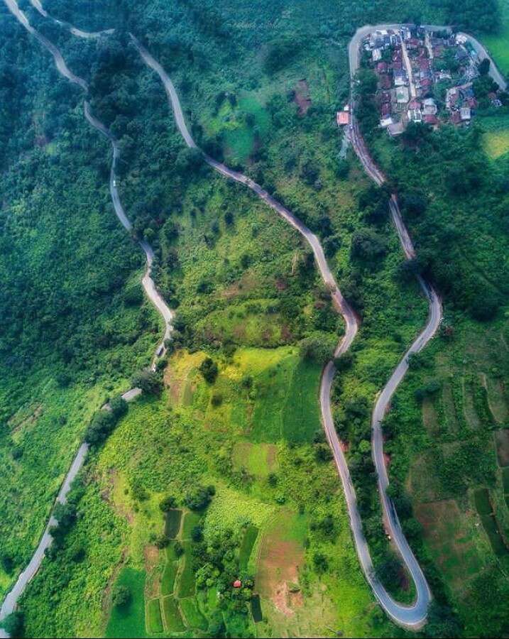 Araku org, Andhra Pradesh