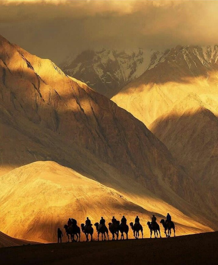Nubra org, Leh Ladakh