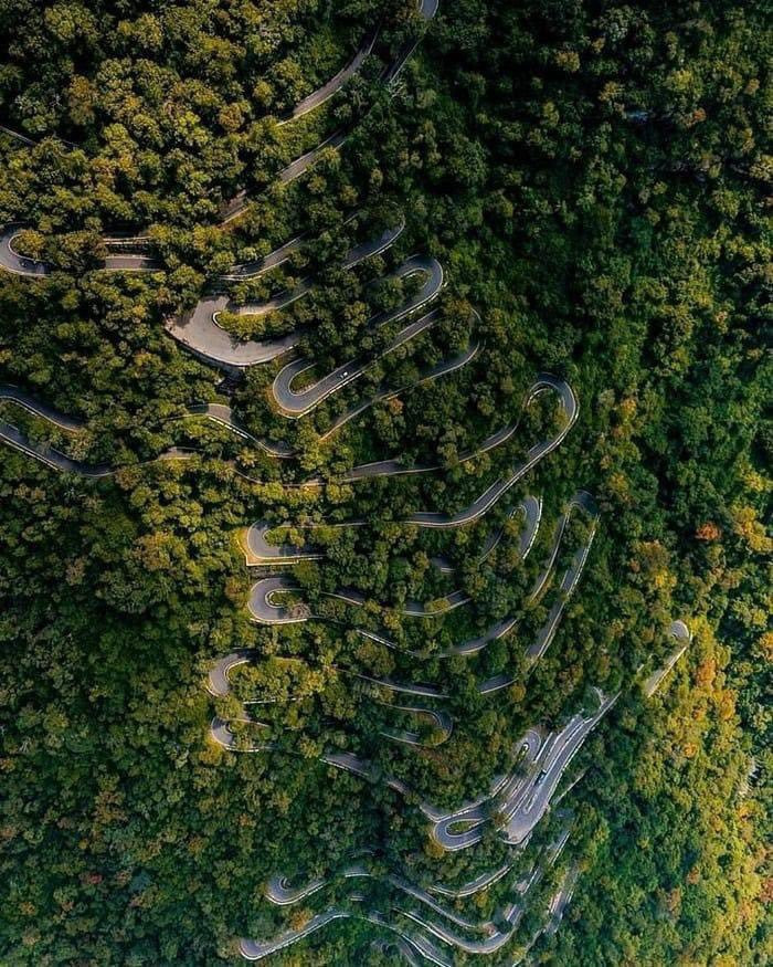 Kolli Hillsi mägitee, Tamil Nadu