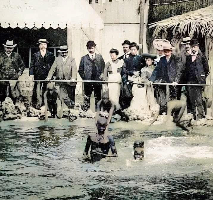 Inimloomaaed Pariisis, 1905