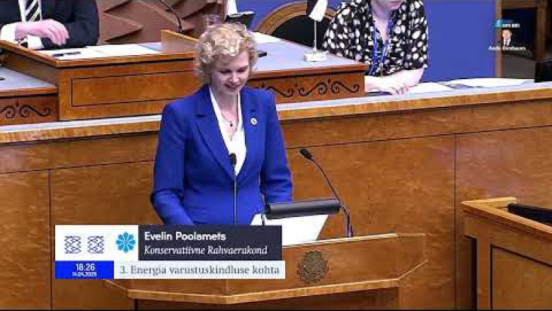 Evelin Poolamets: Ainult juhitavad kodumaised tootmisvõimsused tagavad, et elekter on alati olemas
