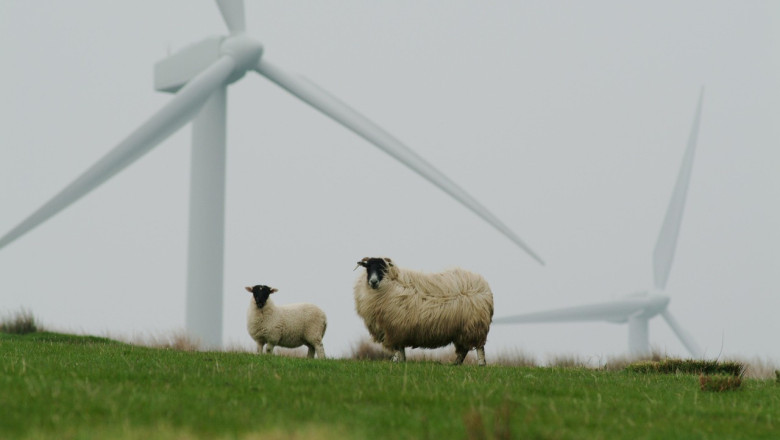 Hollandi avamere tuuleenergia buum võib põhjustada tohutu leibkondade arvete suurenemise